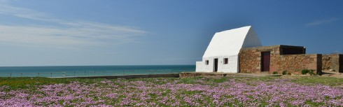 Beyond the Bricks – A Whole New World