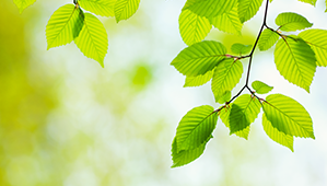 Best Execution Information