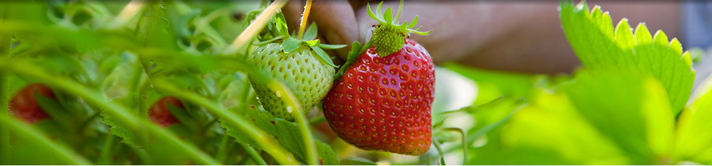 investment funds banner